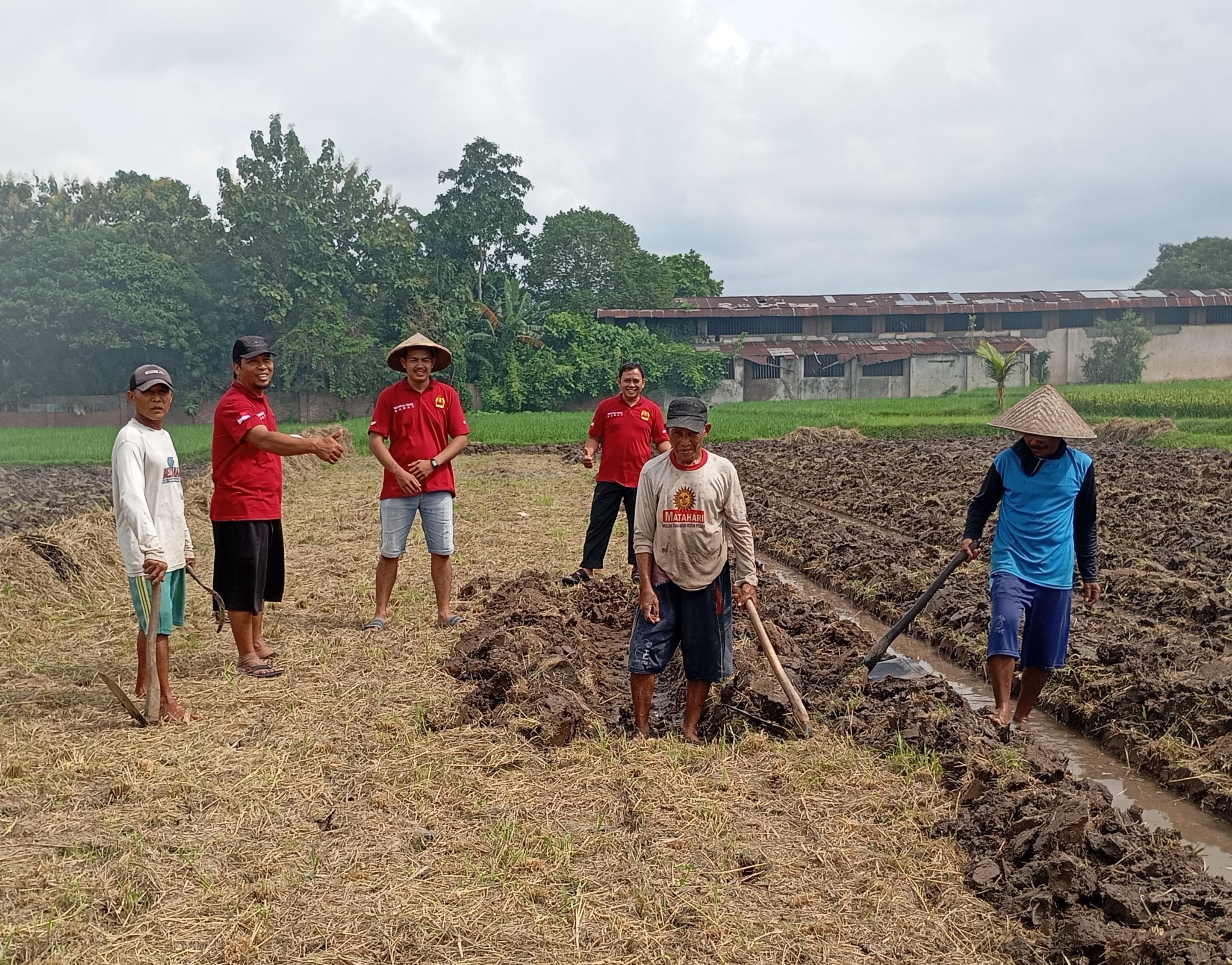 BUMDes Mulia Kabat Garap 7.500 M² Lahan Pertanian Untuk Ketahanan Pangan