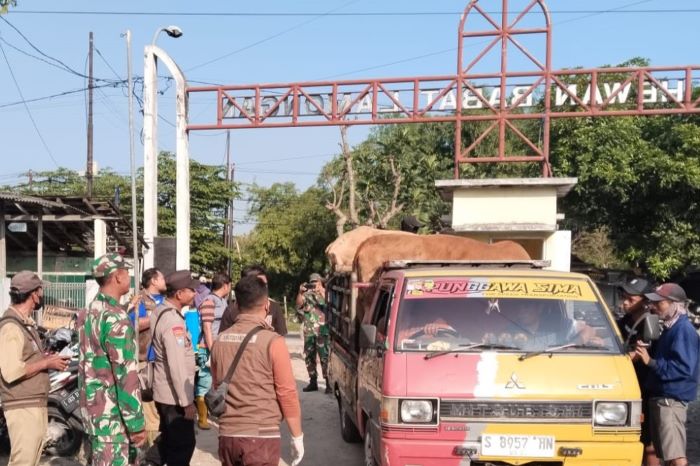 Jelang Idul Adha, Koramil Modo Semprot Disinfektan di Pasar Hewan