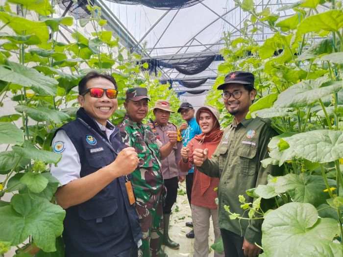 Pj Danramil Karanggeneng Hadiri Tanam Cabai dan Panen Melon untuk Ketahanan Pangan