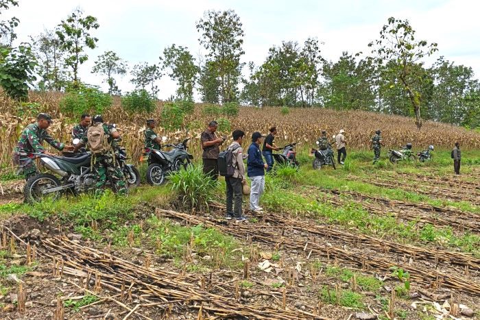 Kodim Lamongan dan Dinas Kehutanan Tinjau Lokasi Pembangunan BTP di Ngimbang
