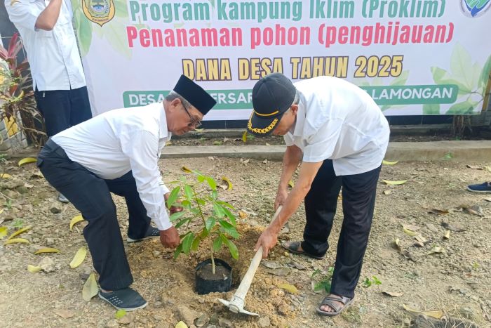 Sumbersari Hijaukan Desa Lewat Program ProKlim