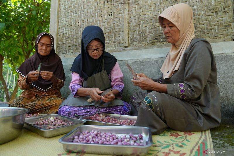 Bahagia dan Berdaya di Usia Senja