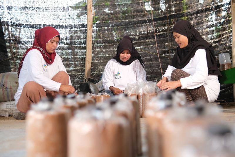 PLN IP Dorong Kemandirian Ekonomi dengan Gelar Pelatihan Manajemen