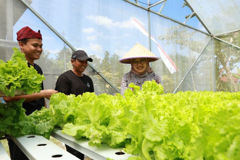 Bupati Banyuwangi Gali Potensi Desa di Sektor Pertanian