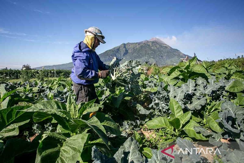 Memastikan Statistik Selaras dengan Realitas Ekonomi