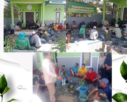 Peningkatan Kompetensi Sistem Pertanian Organik di Desa Bomo
