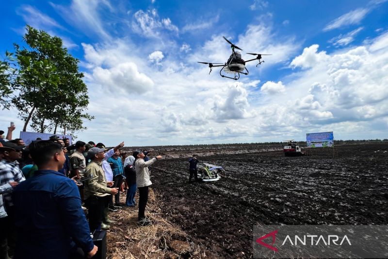 Kementan-Pemkab Tanah Laut Tanam Padi Perdana Pakai Teknologi Drone