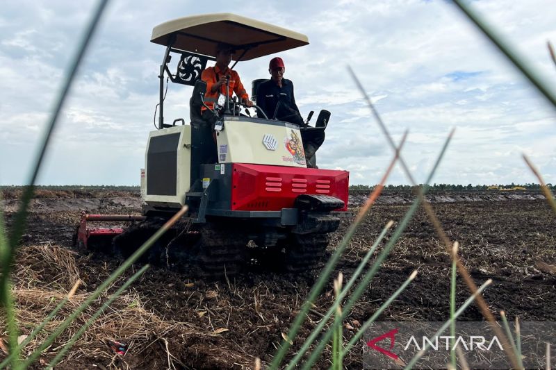 Menghidupkan Lahan Mati Bernafas Pertanian Modern