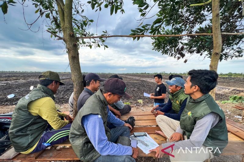 Membidik Rp2 Miliar di Ladang Sawah Berteknologi