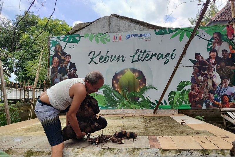 Mewujudkan Ketahanan Pangan dari Pekarangan Rumah