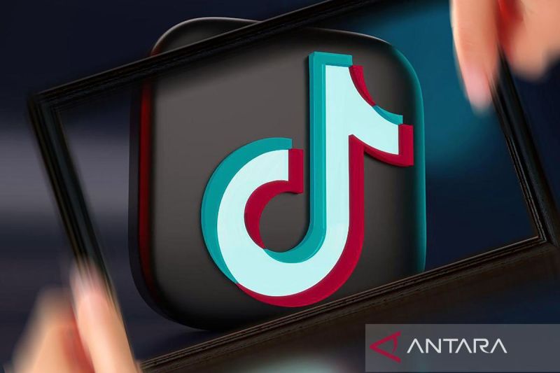 Kamus Cambridge Tambahkan Kata-kata TikTok ke Edisi Baru