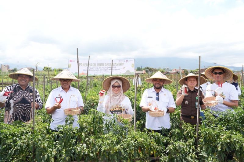 Pelni Berdayakan Desa Mandiri Pasok Makanan untuk Penumpang Kapal