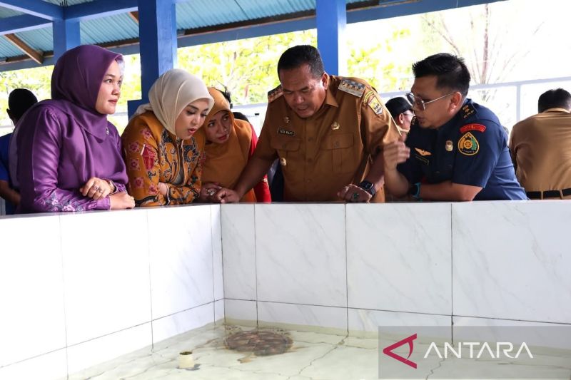 Konservasi Penyu Pariaman Jadi Daya Tarik Wisata Edukatif