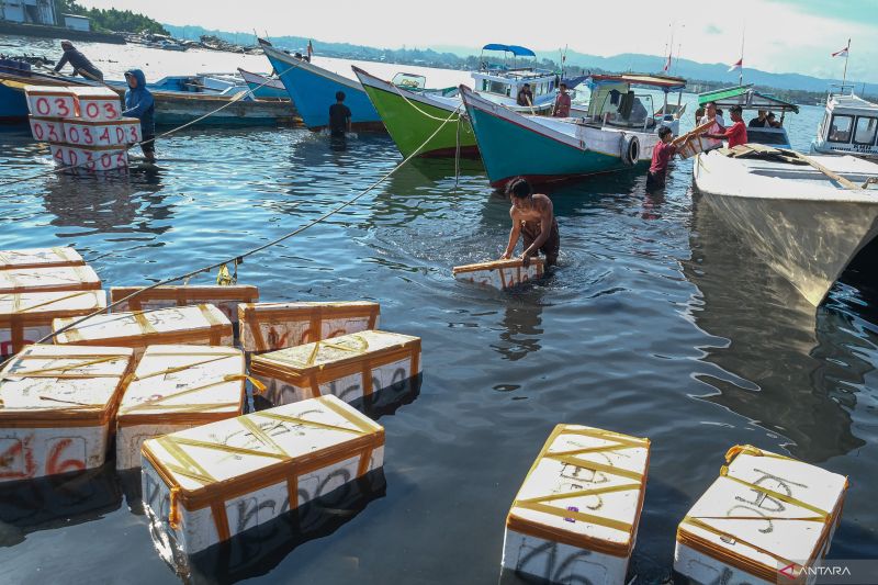 Pengamat Sebut Prabowo Bawa Harapan Baru bagi Ekonomi Maritim RI