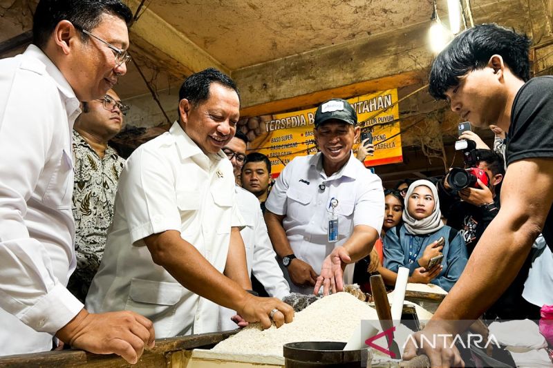 Urgensi Perbaikan Tata Kelola Beras di Indonesia