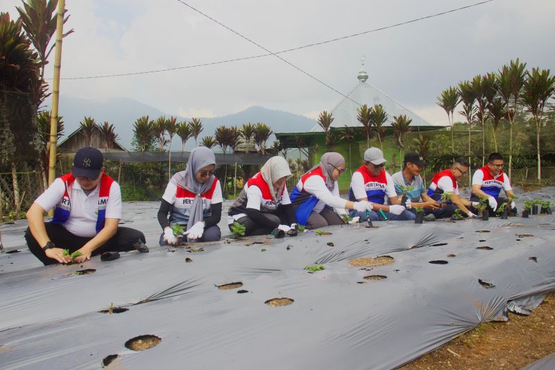 Pertamina NRE Optimalkan Potensi Desa Melalui Desa Energi Berdikari