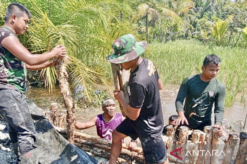 Kuin Kacil Melangkah Maju sebagai Sentra Pertanian Banjarmasin
