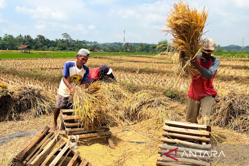 Kementan Tingkatkan Mutu Layanan Demi Kemajuan Pertanian Indonesia