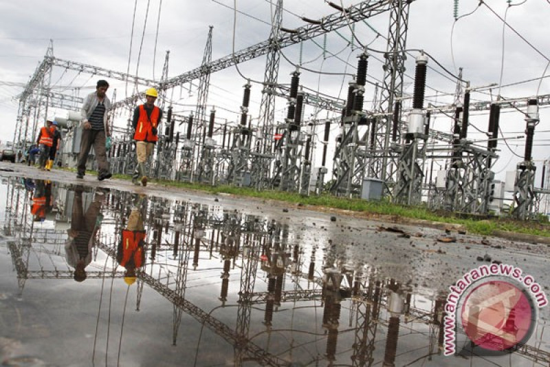 PLN IP Lakukan Inovasi Sosial "Kampung Laos Serumpun" di Banyuasin