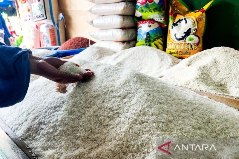 YLKI Minta Semua Pihak Atasi Permasalahan Harga-stok Beras di Pasaran