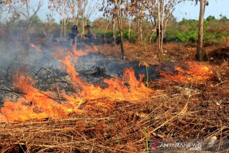 BPBA Tekankan Kesiapsiagaan Bencana Hidrometeorologi Mulai dari Desa