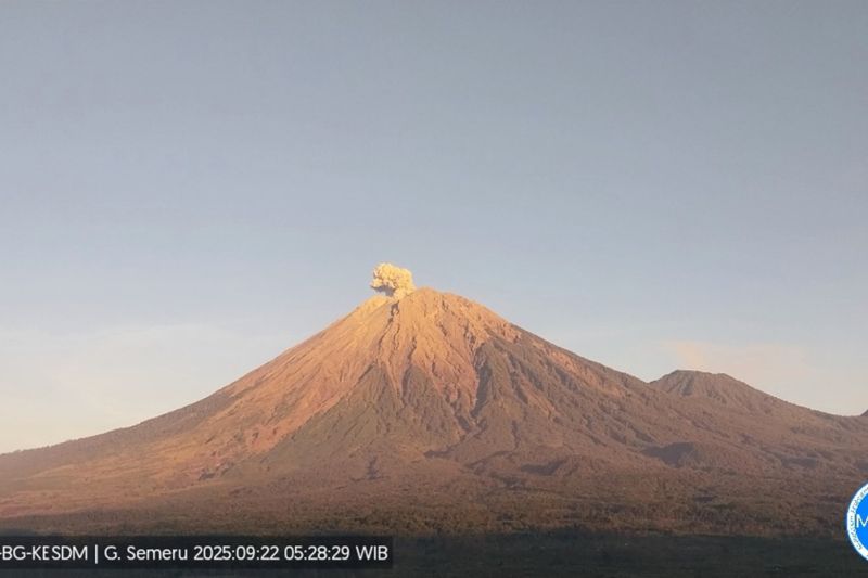 Semeru Erupsi dengan Tinggi Letusan 700 Meter