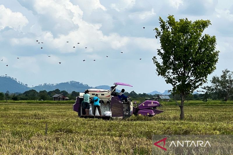Kementan: Pengadaan Alsintan Transparan Utamakan Kebutuhan Petani