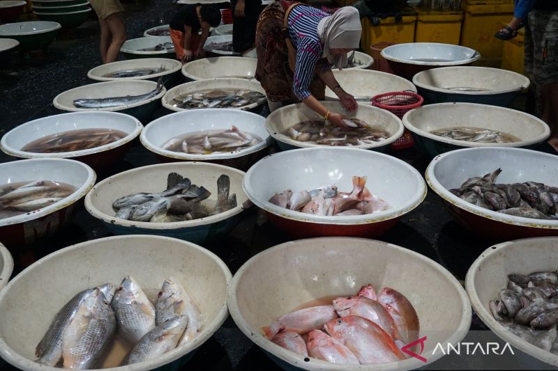 Dokter Gizi Jelaskan Peran Penting Protein pada Makanan