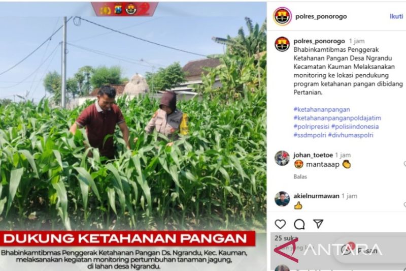 Ponorogo Terapkan Program Satu Desa Dua Hektare untuk Ketahanan Pangan