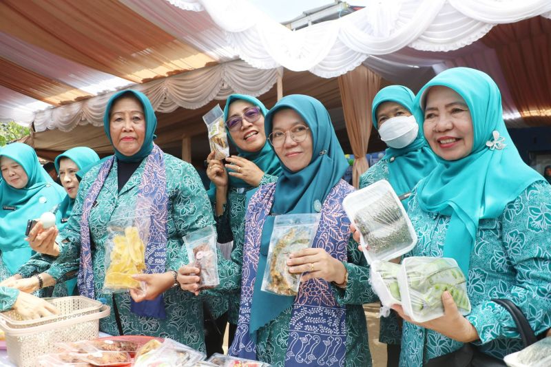 Pemberdayaan Desa Tertinggal di Serang Jadi Fokus Utama HKG PKK