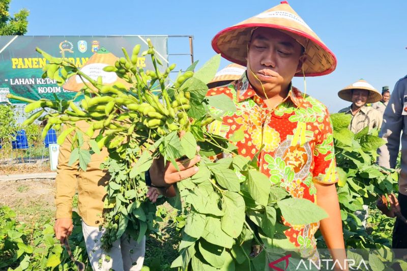 Pemkab Situbondo Sarankan Petani Tanam Edamame Karena Pasar Bagus