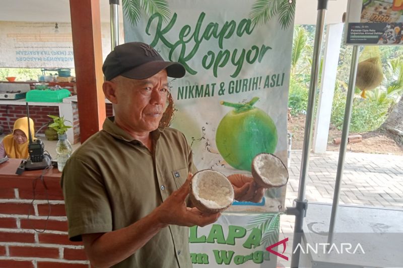 Bantul Kembangkan Sentra Budidaya Kelapa Kopyor di Desa Jatimulyo