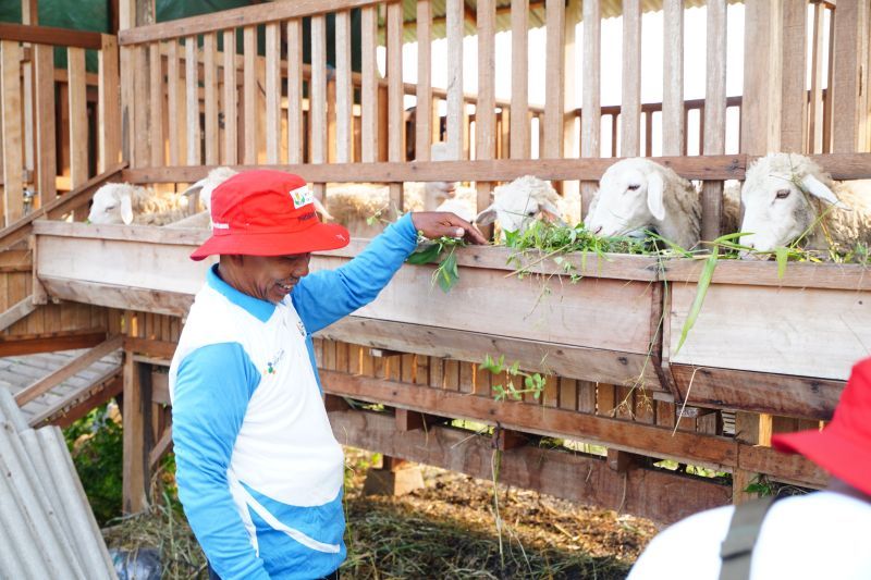 Living Lab Berbasis Masyarakat Jadi Solusi Hadapi Perubahan Iklim