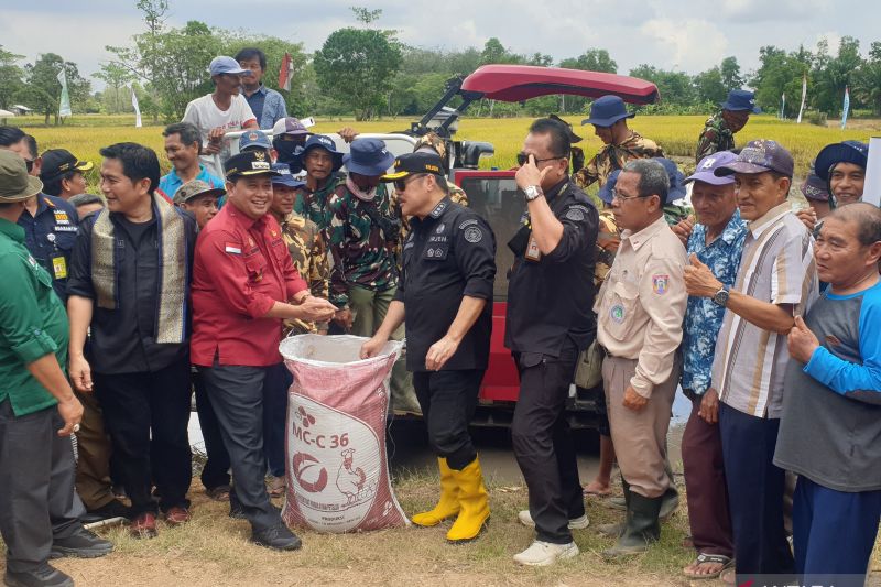 Bupati Banyuasin Lestarikan Budaya Sedekah Bumi Desa