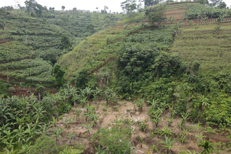 Pemerintah dan KI Perluas Restorasi DAS Sekitar Desa Penyangga TNGGP