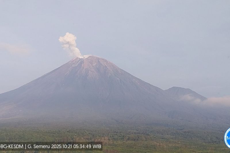 Gunung Semeru Enam Kali Erupsi dengan Tinggi Letusan Hingga 700 Meter