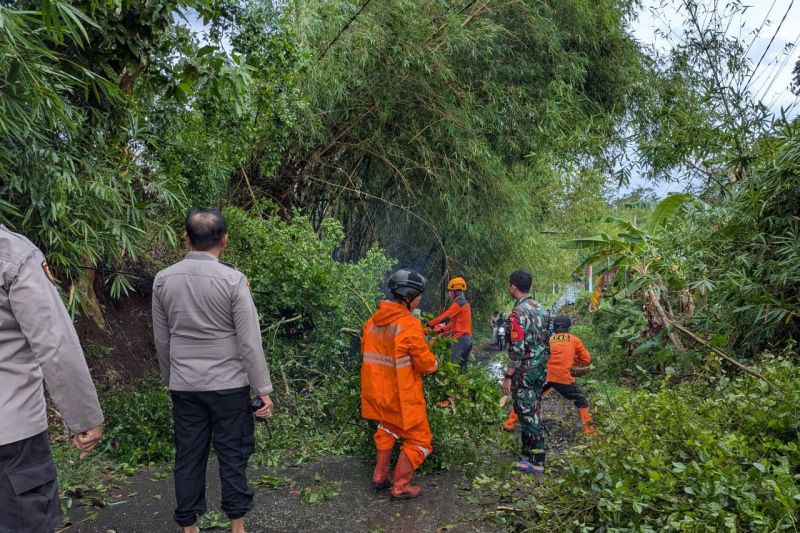 BPBD Bondowoso Catat 68 Rumah Rusak Akibat Diterjang Angin Kencang