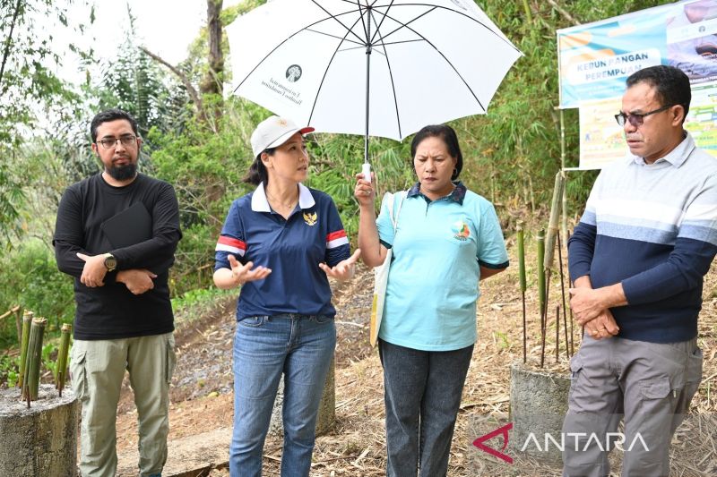 Kebun Pangan Perempuan Langkah Nyata Pemberdayaan Perempuan Level Desa
