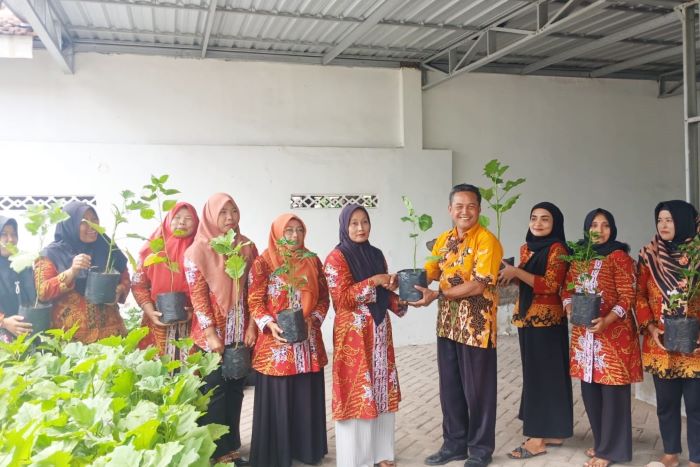 BPP Kecamatan Purwoharjo Bagikan Benih Cabai dan Terong Kepada Pemdes dan Posyandu di Desa Sumberasri