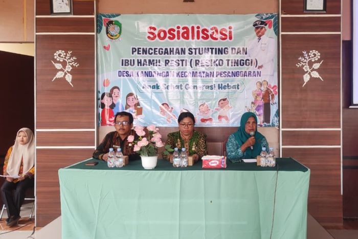Sosialisasi Pencegahan Stunting dan Ibu Hamil Resti di Desa Kandangan