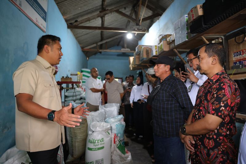 Wamentan: Harga Pupuk Subsidi Turun Demi Produktivitas Petani