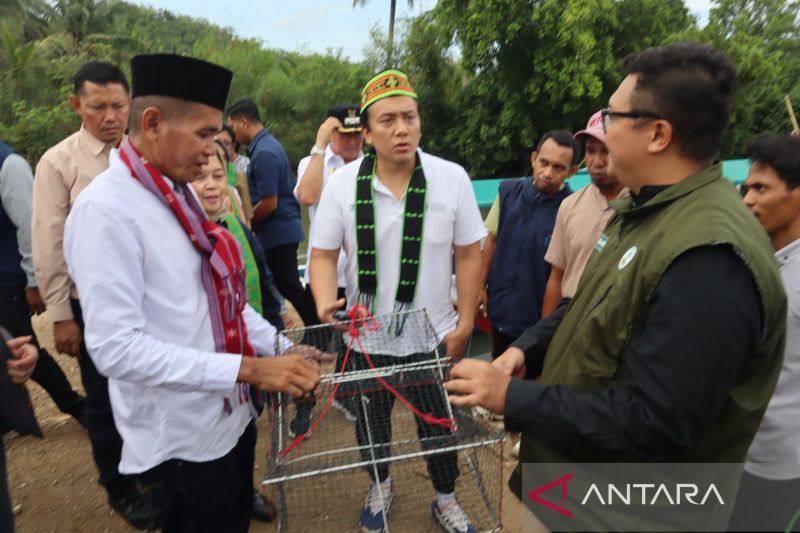 Pemkab Mabar Berharap Semakin Banyak Desa Jadi Sasaran Program DMPM