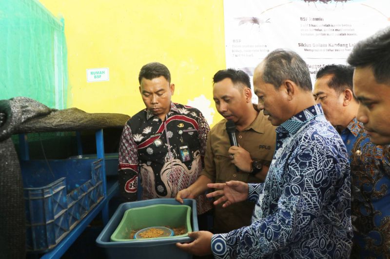Pemkab Serang Banten Kembangkan Budidaya Maggot untuk Urai Sampah